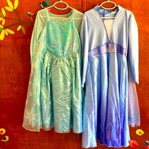 Frozen Elsa Costumes Bundle